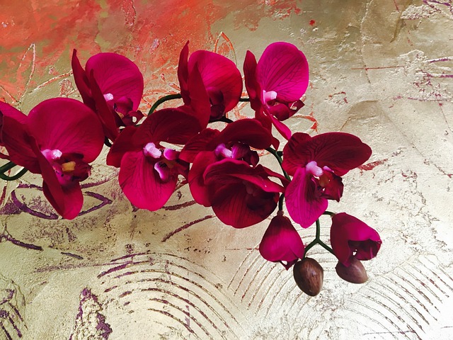 Kde uspějete s umělou orchidejí