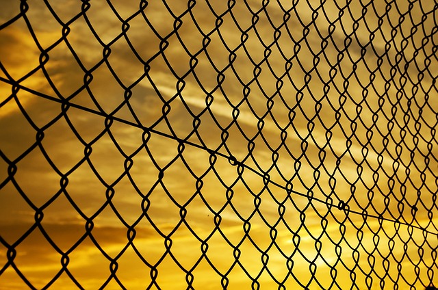 Proč jsou pletivové ploty tak oblíbené